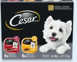 Walmart Cesar wet dog food value pack offer