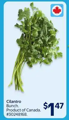 Walmart Cilantro offer