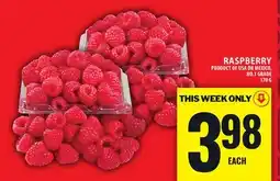 Food Basics RASPBERRY offer