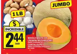 Food Basics WHOLE WHITE OR CREMINI MUSHROOMS OR CANTALOUPES offer