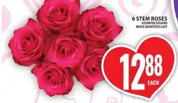 Food Basics 6 STEM ROSES offer