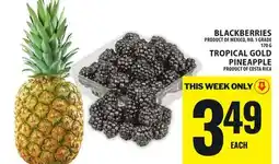 Food Basics BLACKBERRIES OR TROPICAL GOLD PINEAPPLE offer