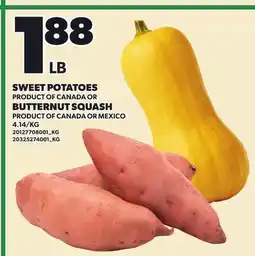Loblaws SWEET POTATOES OR BUTTERNUT SQUASH offer