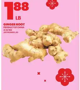 Loblaws GINGER ROOT offer