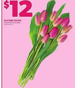 Loblaws 10 STEM TULIPS offer