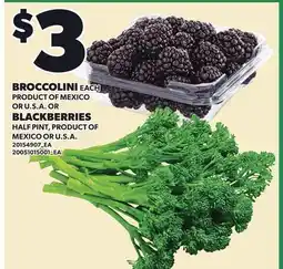 Loblaws BROCCOLINI, EACH OR BLACKBERRIES, HALF PINT offer