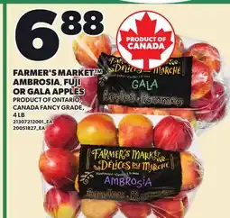 Loblaws FARMER'S MARKET AMBROSIA, FUJI OR GALA APPLES, 4 LB offer