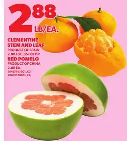 Loblaws CLEMENTINE STEM AND LEAF OR RED POMELO offer