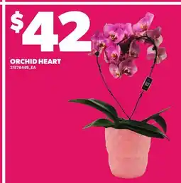 Loblaws ORCHID HEART offer