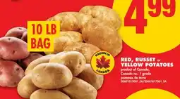 No Frills RED, RUSSET or YELLOW POTATOES, 10 LB BAG offer