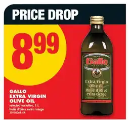 No Frills GALLO EXTRA VIRGIN OLIVE OIL offer