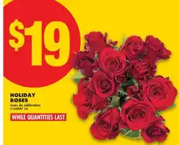 No Frills HOLIDAY ROSES offer