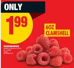 No Frills RASPBERRIES, 6 OZ CLAMSHELL offer
