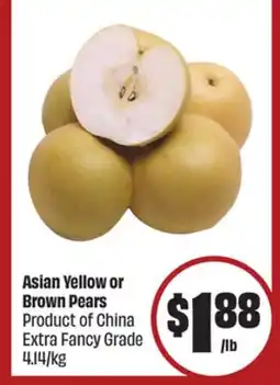 FreshCo Asian Yellow or Brown Pears Product of China Extra Fancy Grade - LNY offer