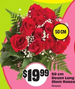 FreshCo 50 cm Dozen Long Stem Roses offer