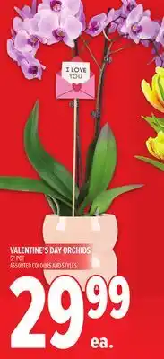 Metro VALENTINE'S DAY ORCHIDS offer