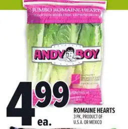 Metro ANDY BOY ROMAINE HEARTS offer