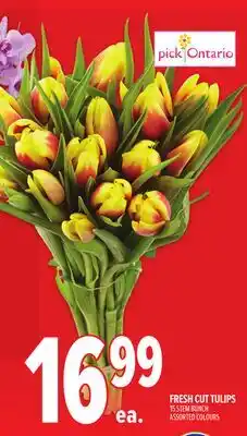 Metro FRESH CUT TULIPS offer