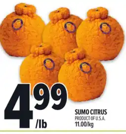Metro SUMO CITRUS offer