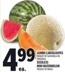 Metro JUMBO CANTALOUPES SEEDLESS MINI WATERMELON offer