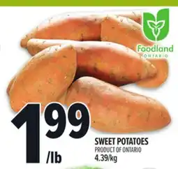 Metro SWEET POTATOES offer