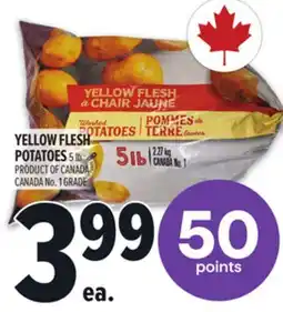 Metro YELLOW FLESH POTATOES offer