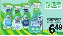 Metro SCRUBBING BUBBLE OR EASY PEASY CLEANERS offer