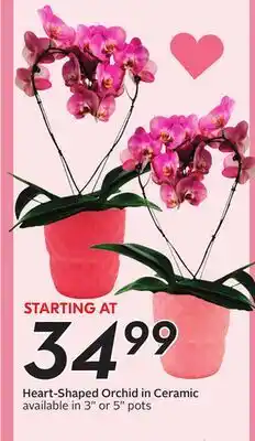 Sobeys Heart-Shaped Orchid in Ceramic offer