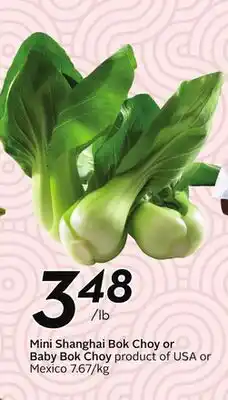 Sobeys Mini Shanghai Bok Choy or Baby Bok Choy offer