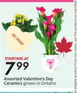 Sobeys Assorted Valentine's Day Ceramics offer