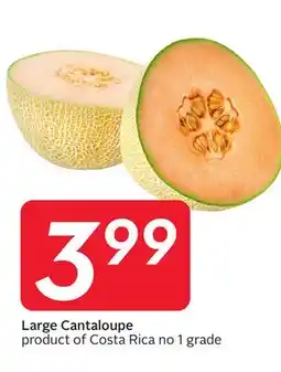 Sobeys Large Cantaloupe offer