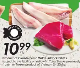 Sobeys Fresh Wild Haddock Fillets offer