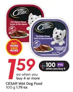 Sobeys CESAR Wet Dog Food offer