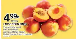 Fortinos LARGE NECTARINES offer