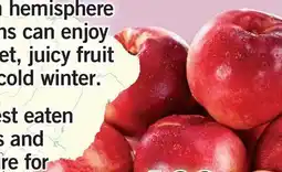 Fortinos WHITE FLESH NECTARINES offer