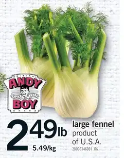 Fortinos LARGE FENNEL offer