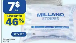 Rossy Striped pillow offer