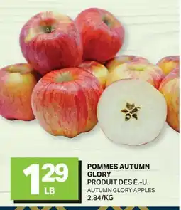 L'Intermarché POMMES AUTUMN GLORY | AUTUMN GLORY APPLES offer