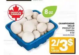 L'Intermarché CHAMPIGNONS CELLO | MUSHROOMS, 8 OZ offer