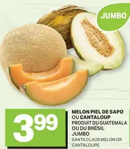 L'Intermarché MELON PIEL DE SAPO OU CANTALOUP | JUMBO SANTA CLAUS MELON OR CANTALOUPE offer