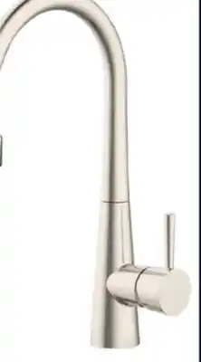 RONA Landon & Co. by RONA Vittal pull-down kitchen faucet offer