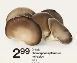 Avril champignons pleurotes noirs bios offer