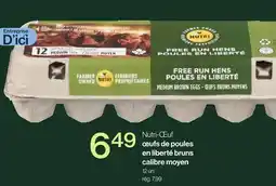 Avril oeufs de poules en liberté bruns calibre moyen offer
