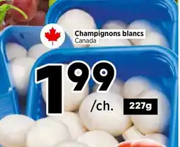 Val-Mont Champignons blancs Canada offer