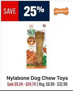 Ren’s Pets Depot Nylabone Dog Chew Toys offer