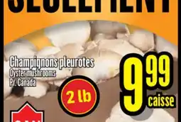 Bonanza Champignons pleurotes offer