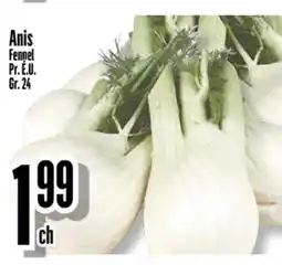 Bonanza Anis Fenpel offer