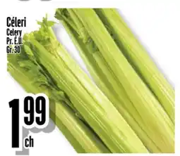 Bonanza Celery offer