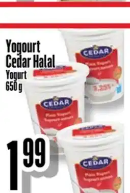Bonanza Yogourt Cedar Halal offer