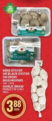 Food Basics King Oyster or Black Oyster or Enoki Mushrooms offer